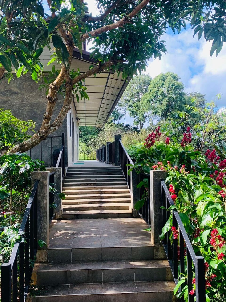 DC Farm House Farm Stay in Thailand