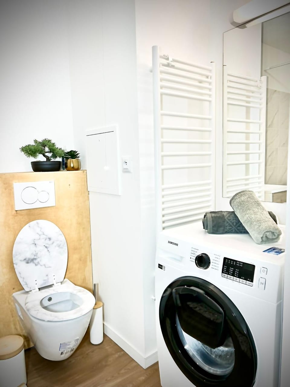 Toilet, washing machine