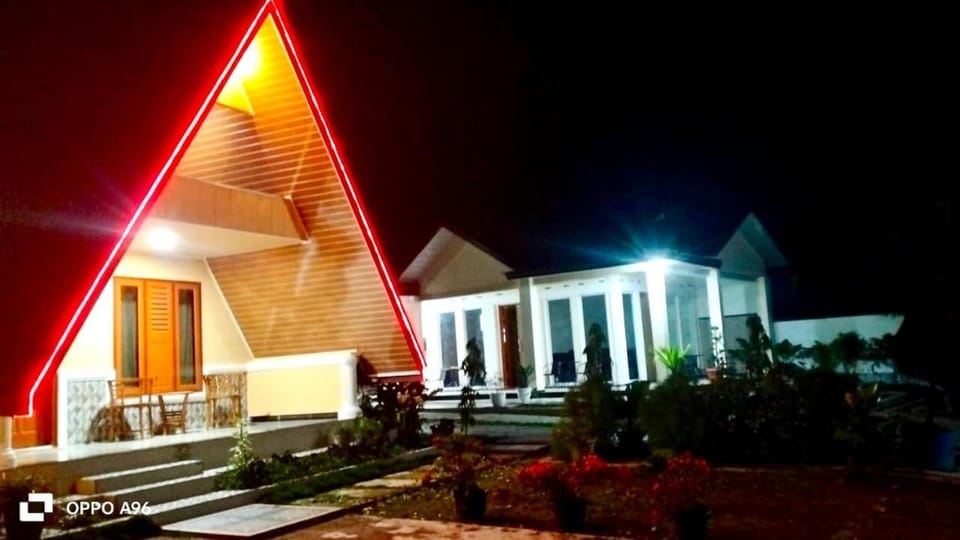 Property building, Night, Garden, Garden view