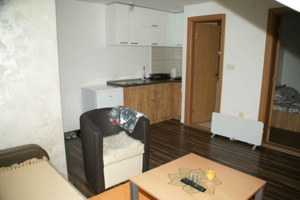 Apartman Jana b Apartment in Zlatibor District, Serbia