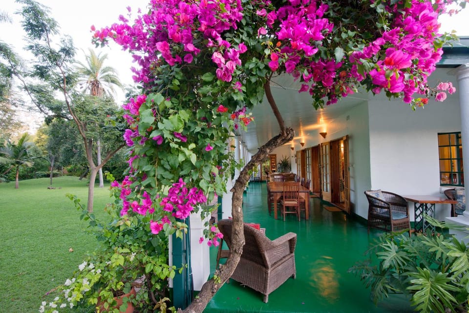 Patio, Balcony/Terrace