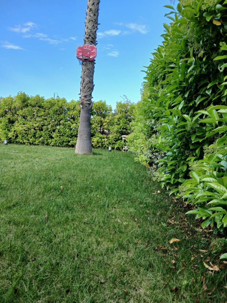 Spring, Garden, Garden view