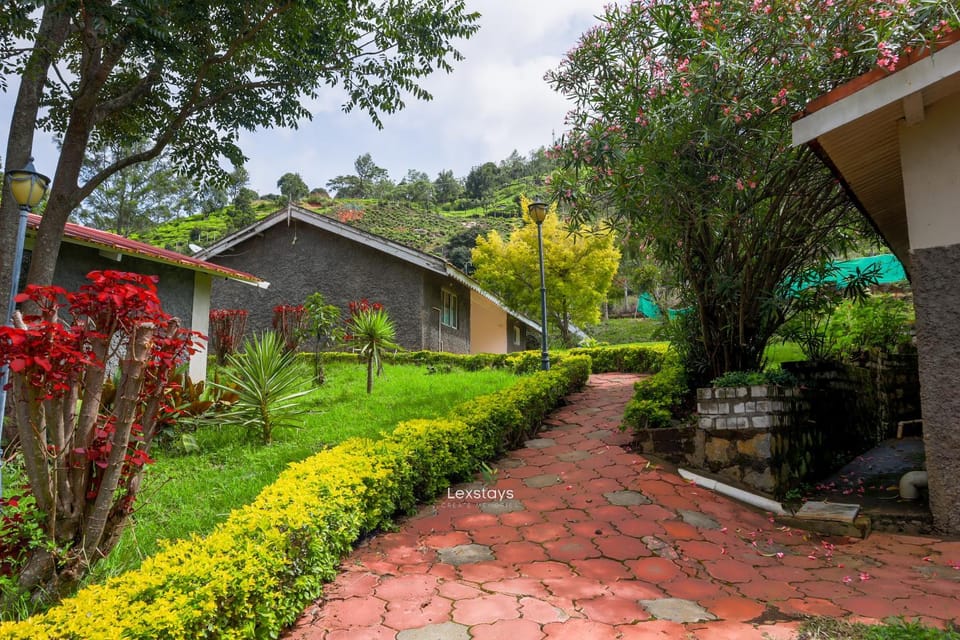 Property building, Neighbourhood, Garden, Garden view