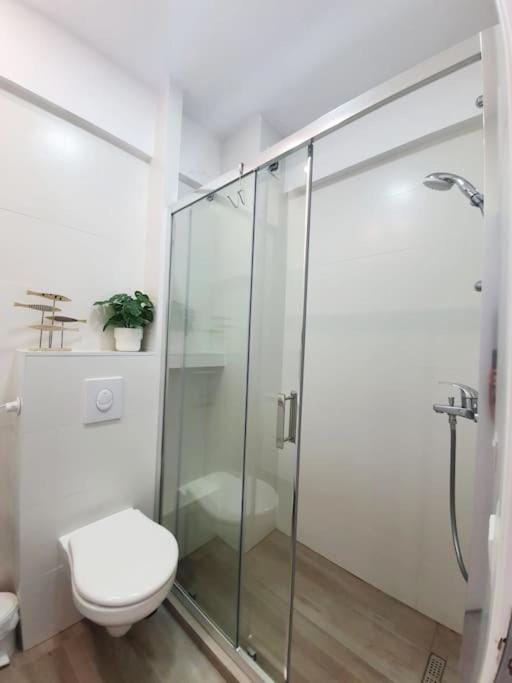 Oasis Beach Apartment Apartment in Constanța County