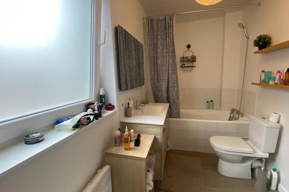 Vaste T2 Port Fluvial de Wambrechies - Balthazar Apartment in Hauts-de-France