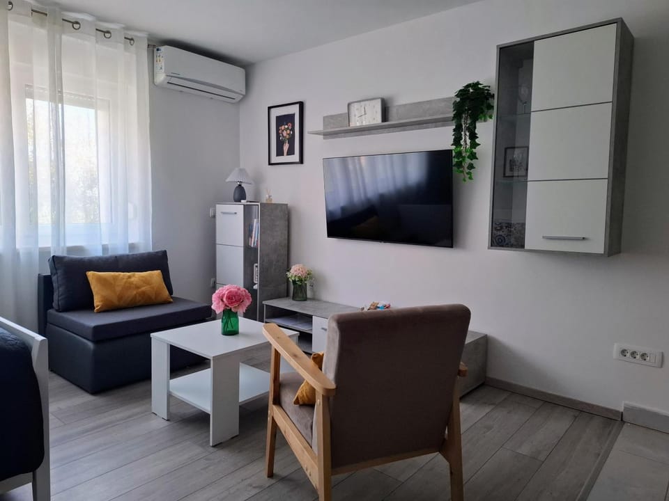TV and multimedia, Living room, Seating area, air conditioner