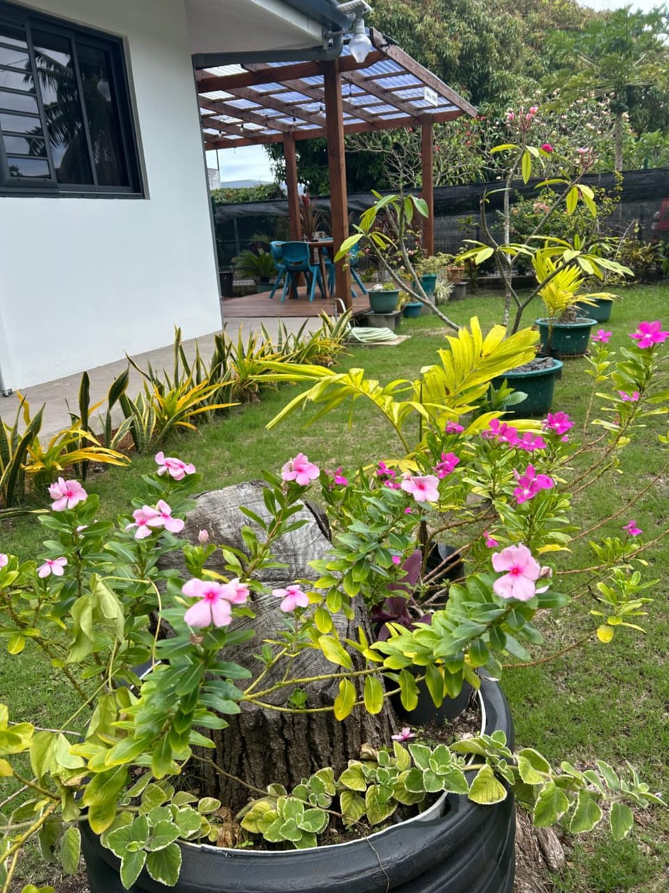 Garden view