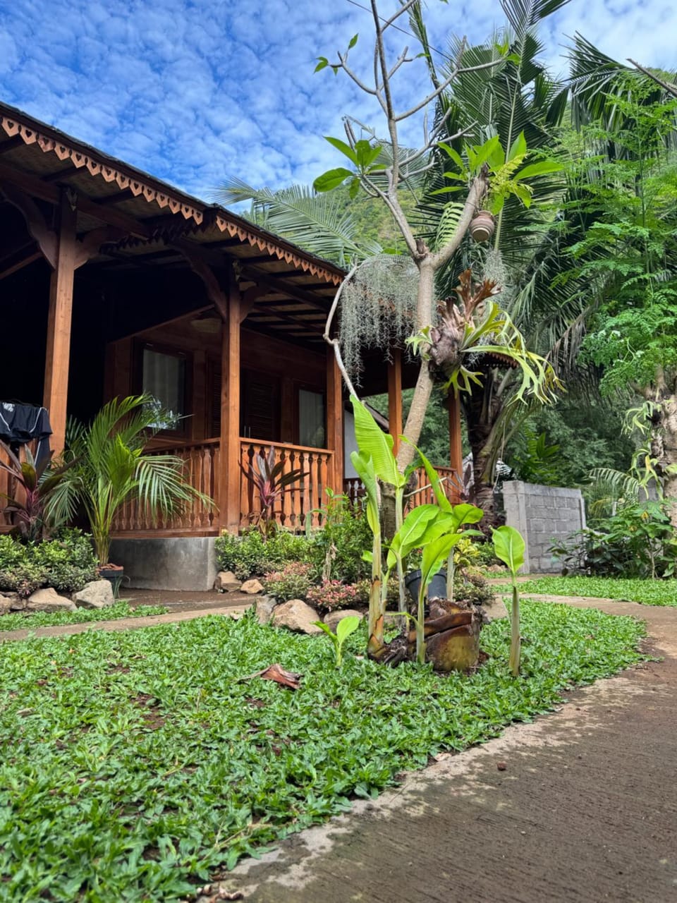 Day, Garden, Garden view