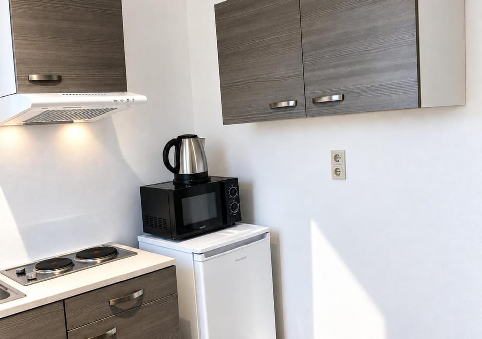 Kitchen or kitchenette, kitchen