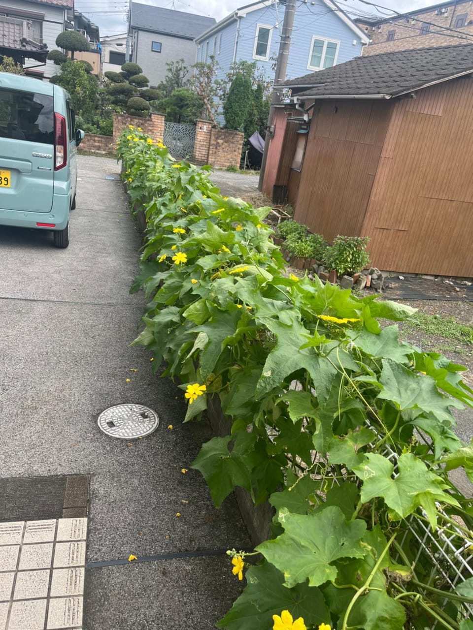 サンムーン鶴間 Bed and Breakfast in Kanagawa Prefecture