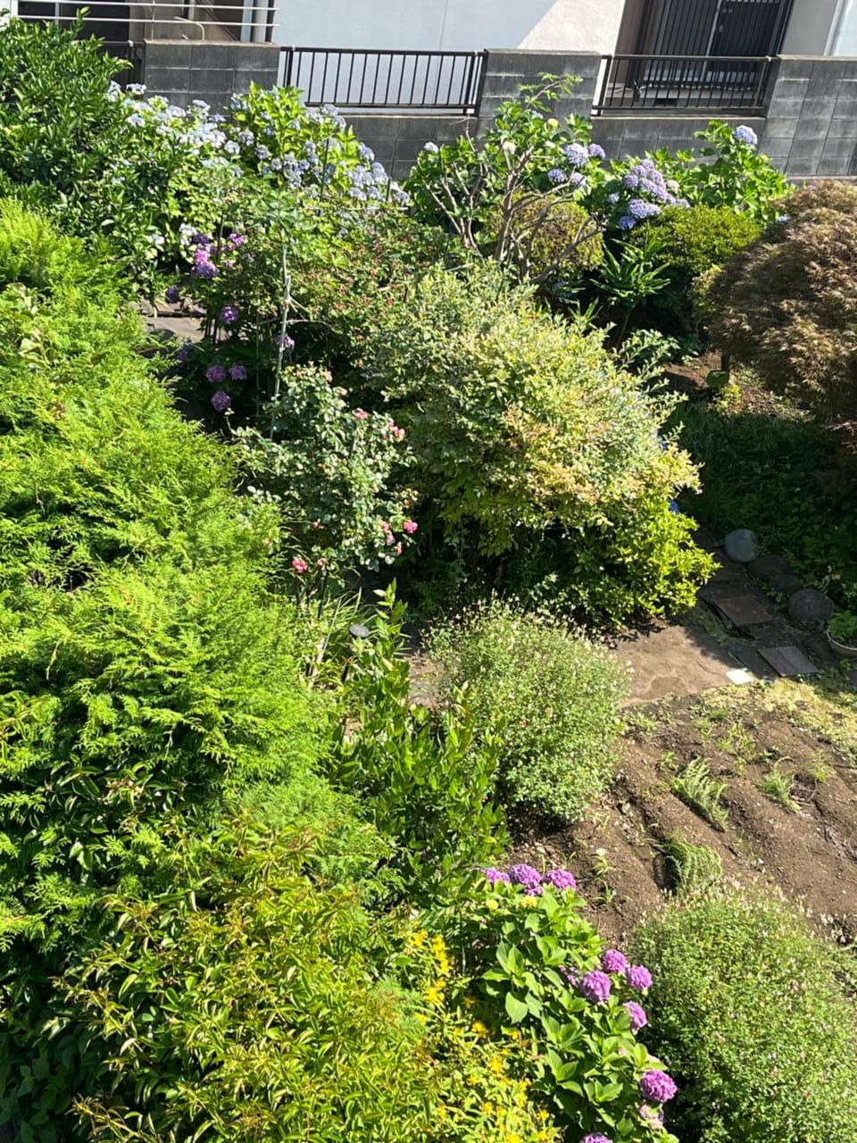 サンムーン鶴間 Bed and Breakfast in Kanagawa Prefecture
