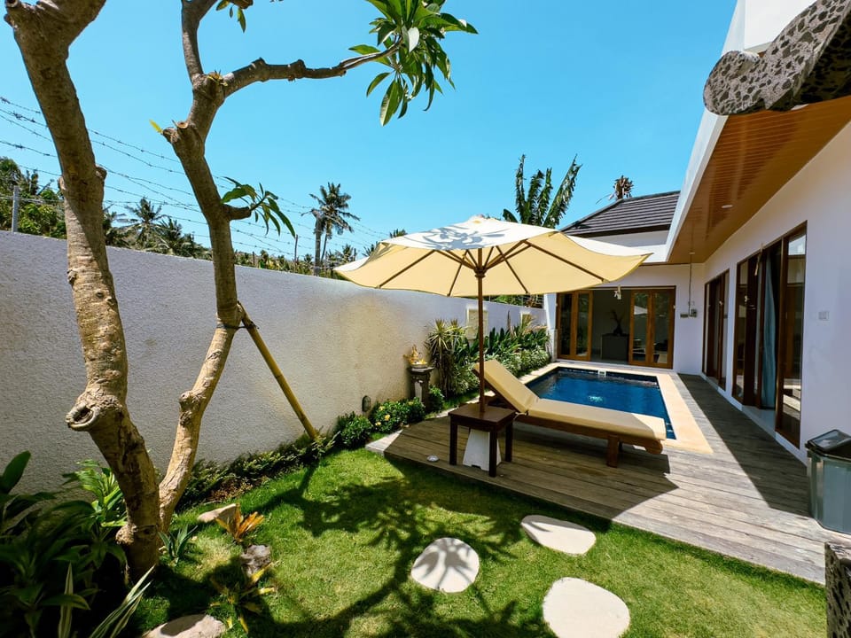 Property building, Garden, Garden view