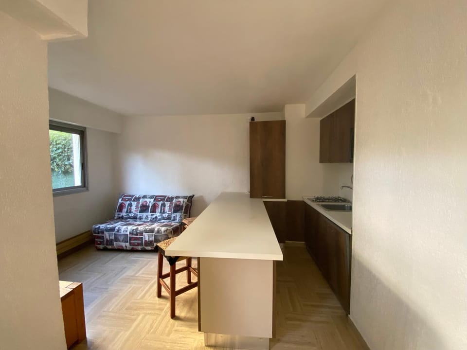 Kitchen or kitchenette, Living room, Dining area