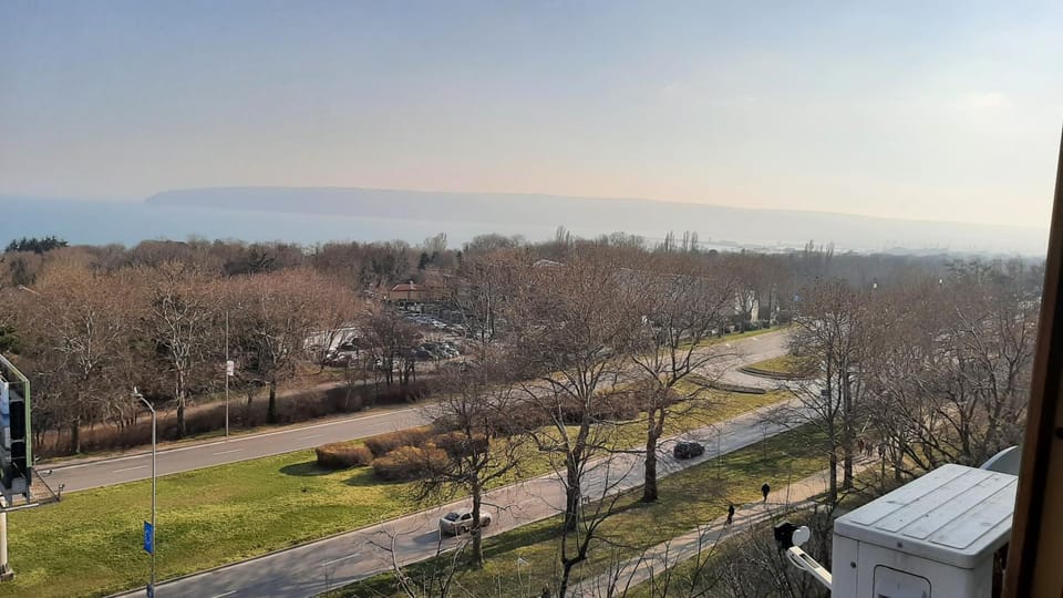 City view, Garden view