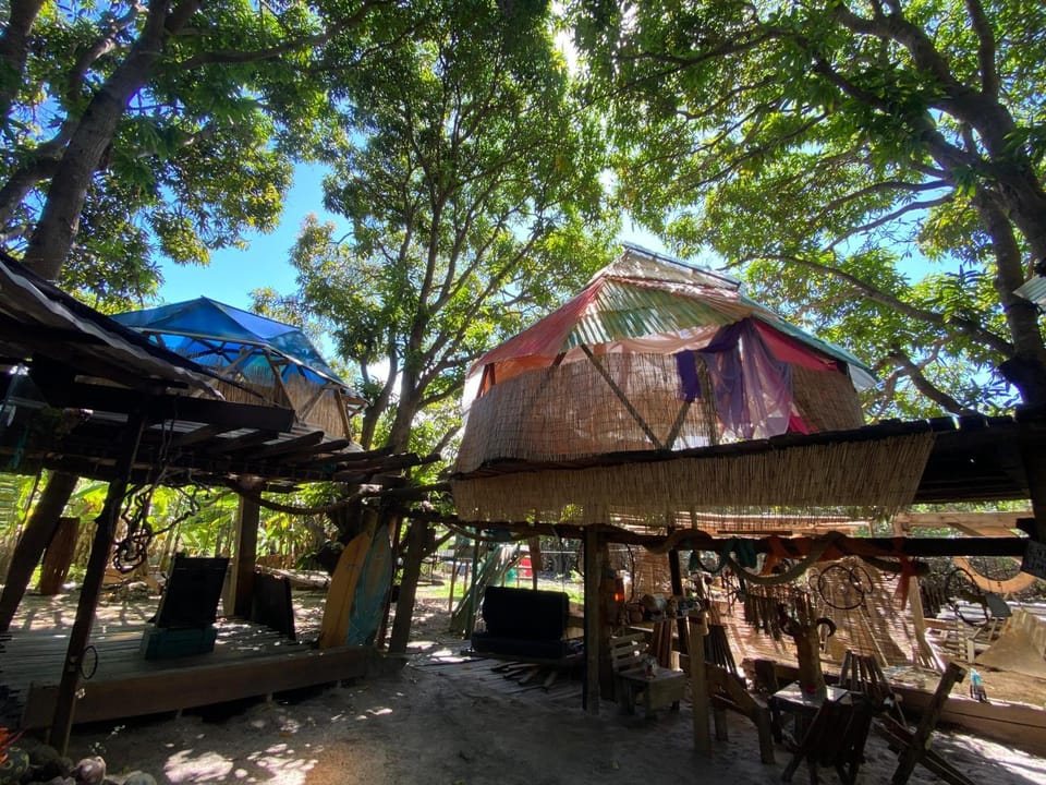 Domo géodesico na árvore Campground/ 
RV Resort in State of Bahia