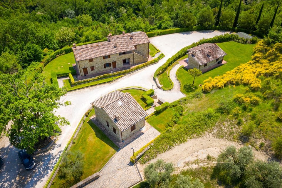 Natural landscape, Bird's eye view, Garden view, Street view