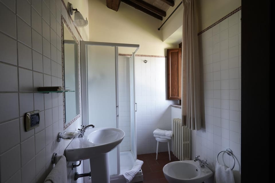 Shower, Toilet, Bathroom, bidet, towels