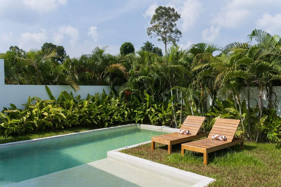 Garden view, Pool view, Swimming pool, sunbed