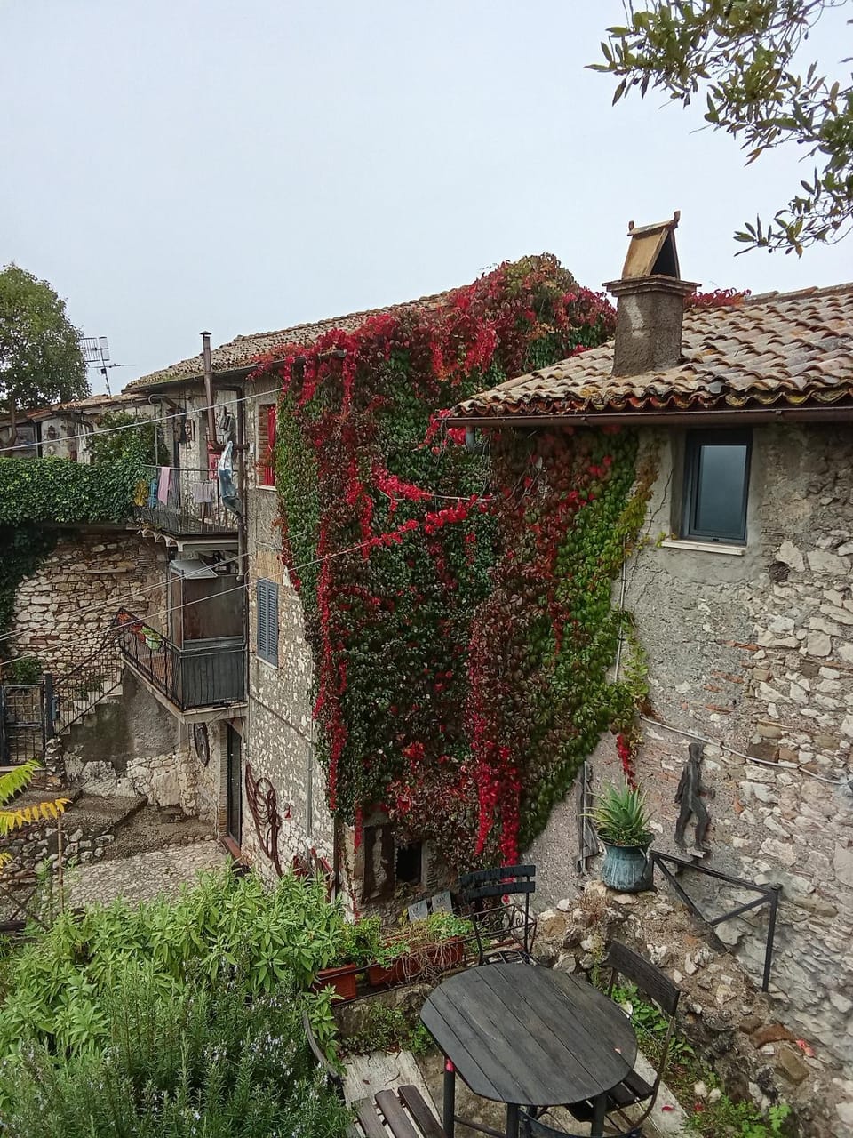Garden view