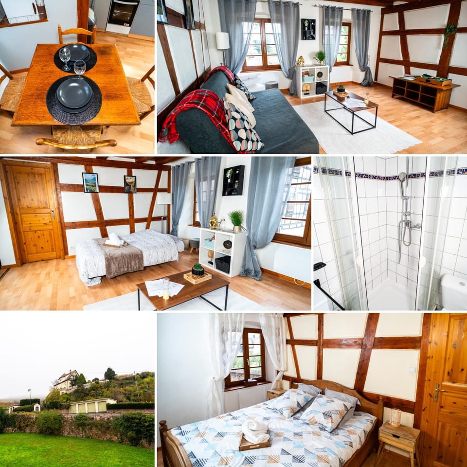 Refuge des Vignerons - Turckheim Apartment in Grand Est