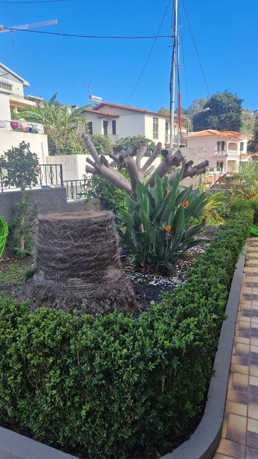 Garden, Garden, Garden view