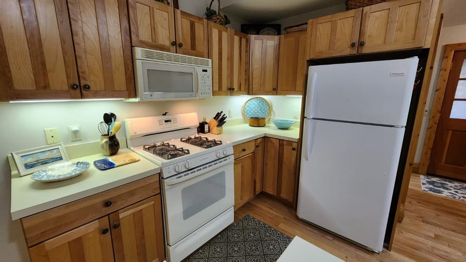 Woods Way Hideaway - minutes from Petoskey & Harbor Springs - close to beaches, skiing & more! House in Bear Creek