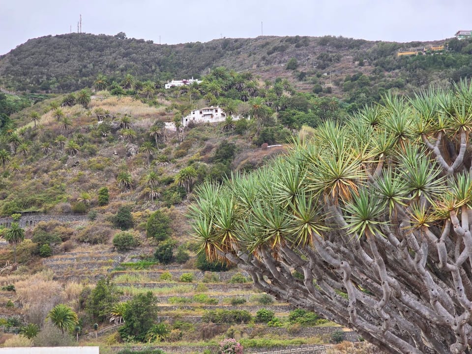Natural landscape, Mountain view