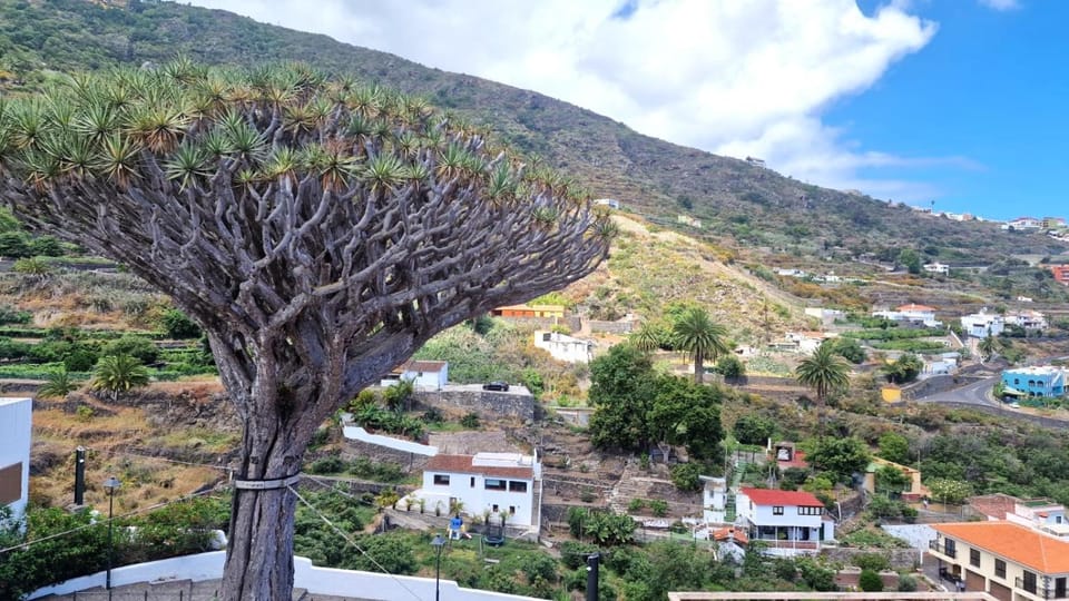 Nearby landmark, Neighbourhood, Bird's eye view, Mountain view