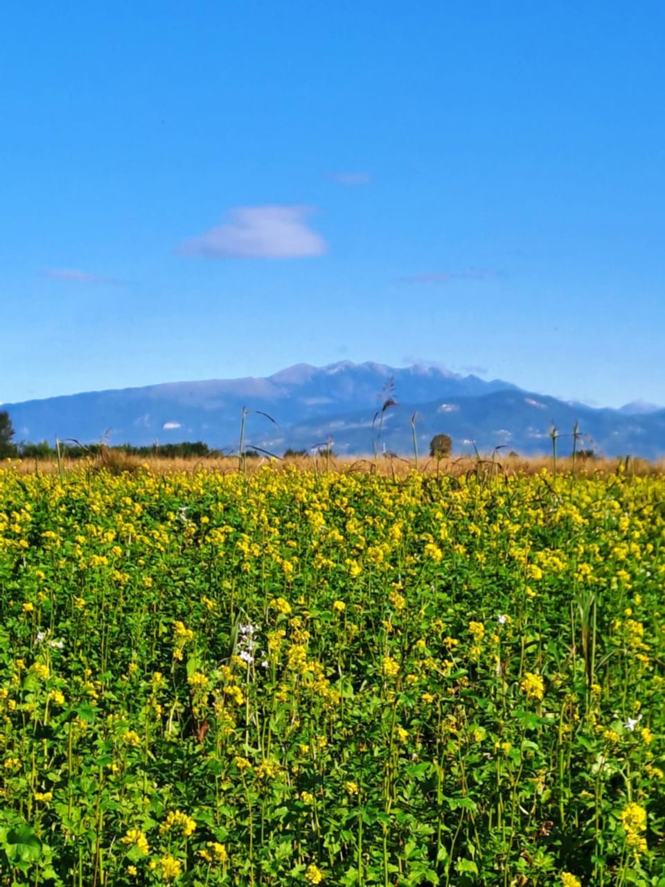 Spring, Natural landscape, Mountain view