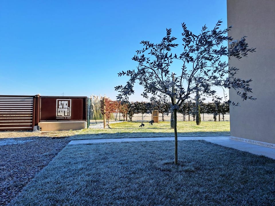 Winter, Garden, Garden view, Inner courtyard view