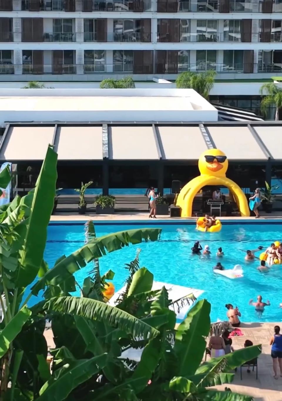 Pool view, Swimming pool