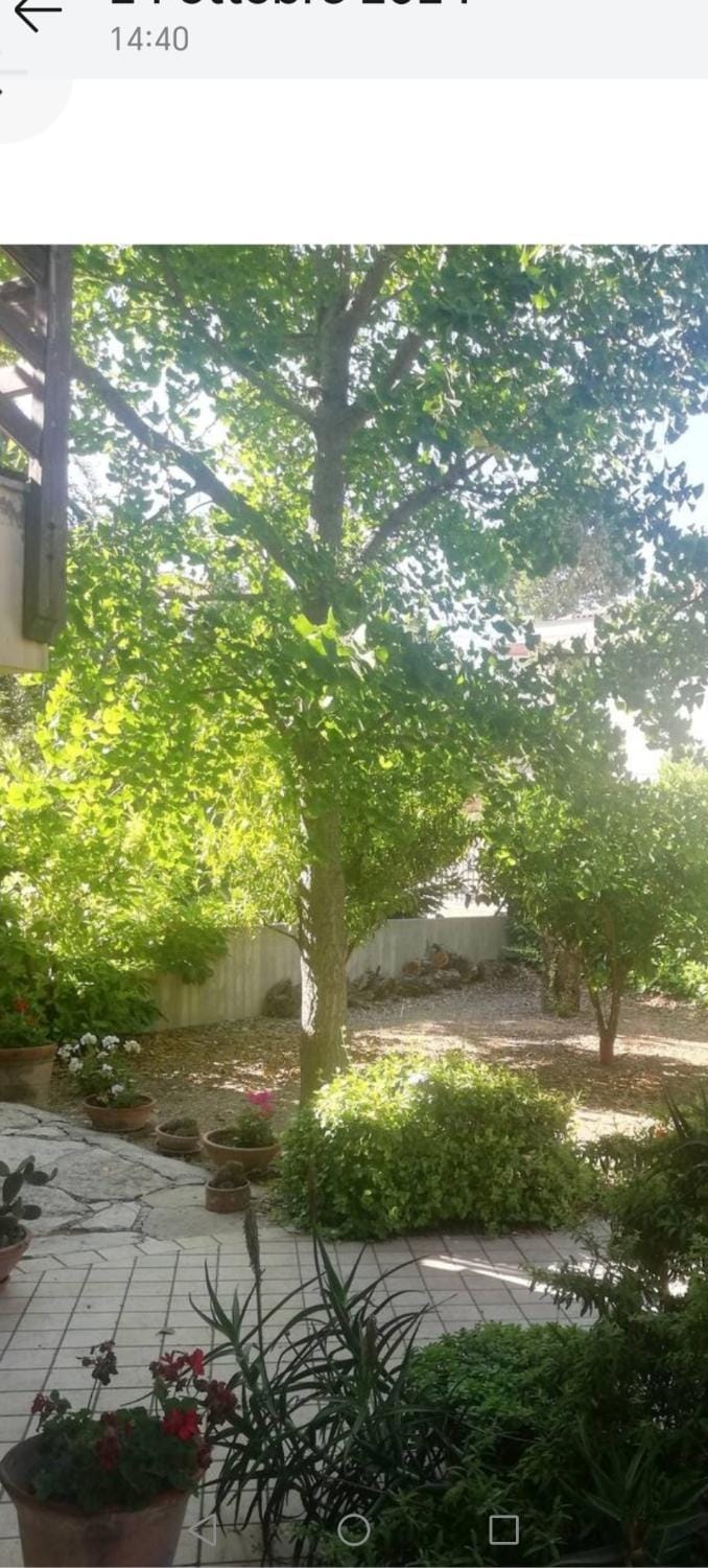La niviera Apartment in Abruzzo