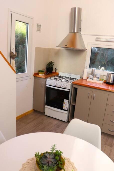 oven, stove