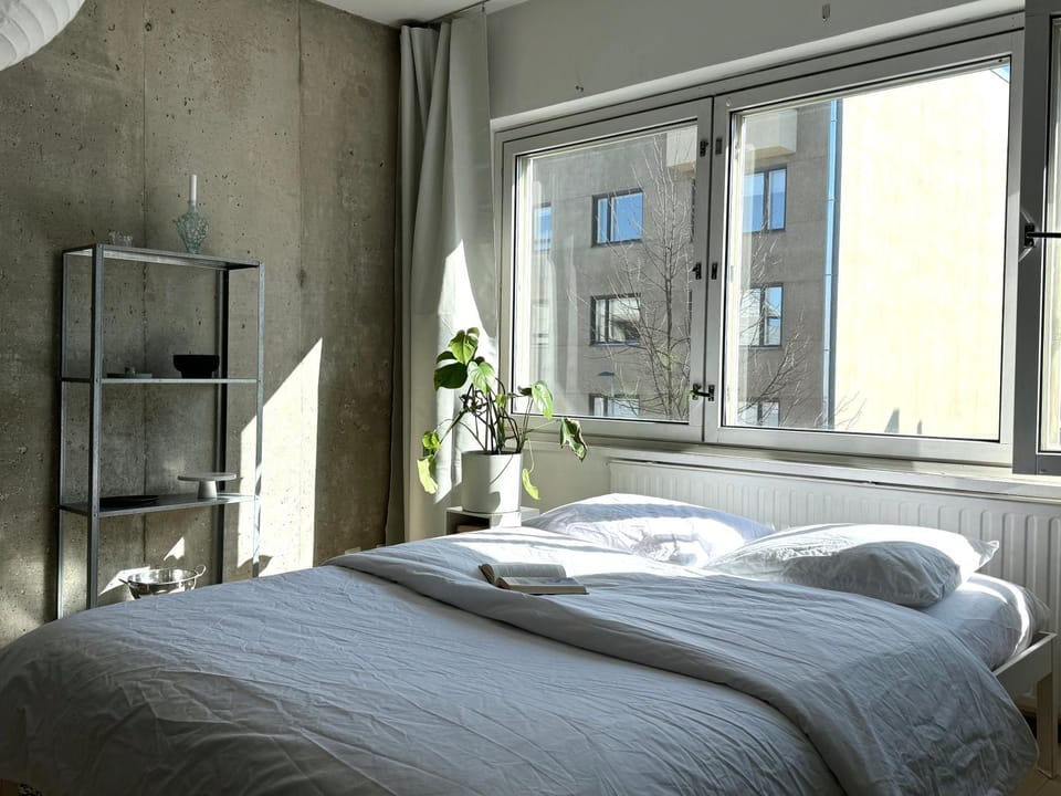 Kaunis tilava yksiö ydinkeskustan kupeessa Apartment in Finland
