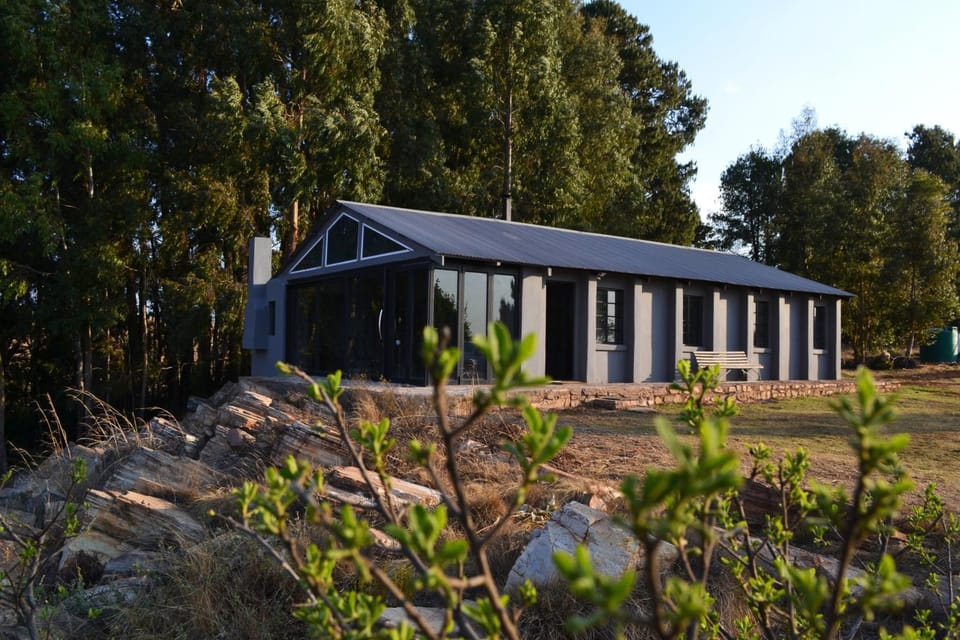 Property building, Day, Natural landscape