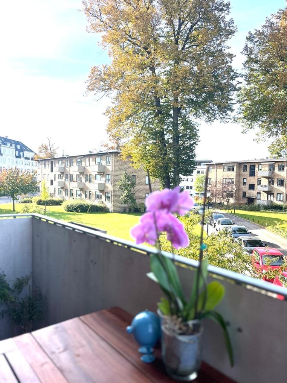 Garden, Garden view