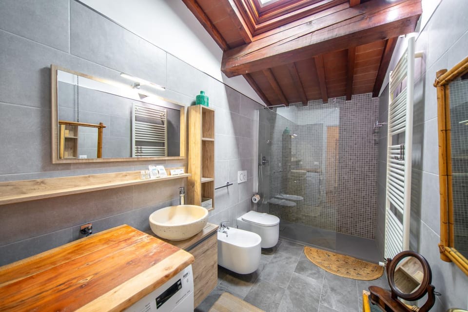 Shower, Toilet, Bathroom, bidet, towels