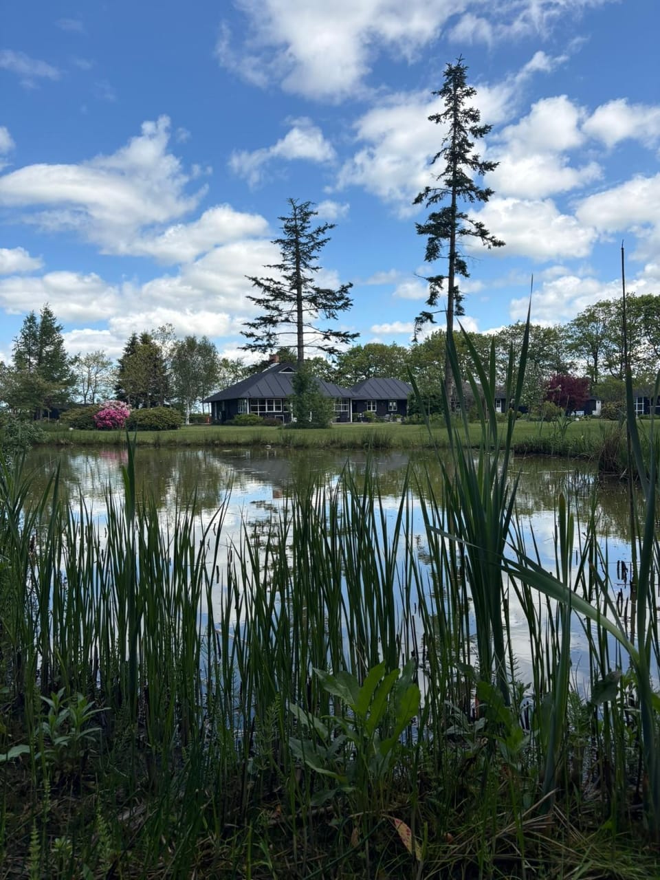 Aneks i rolige omgivelser-adgang til pool og sauna House in Central Denmark Region