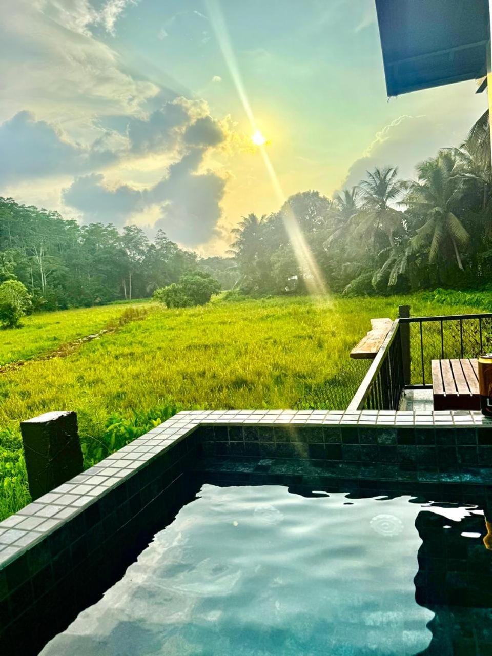 Natural landscape, Hot Tub, Pool view