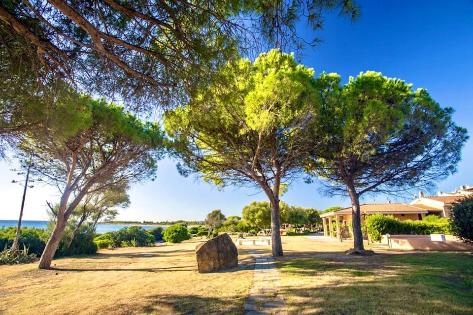 Natural landscape, Garden