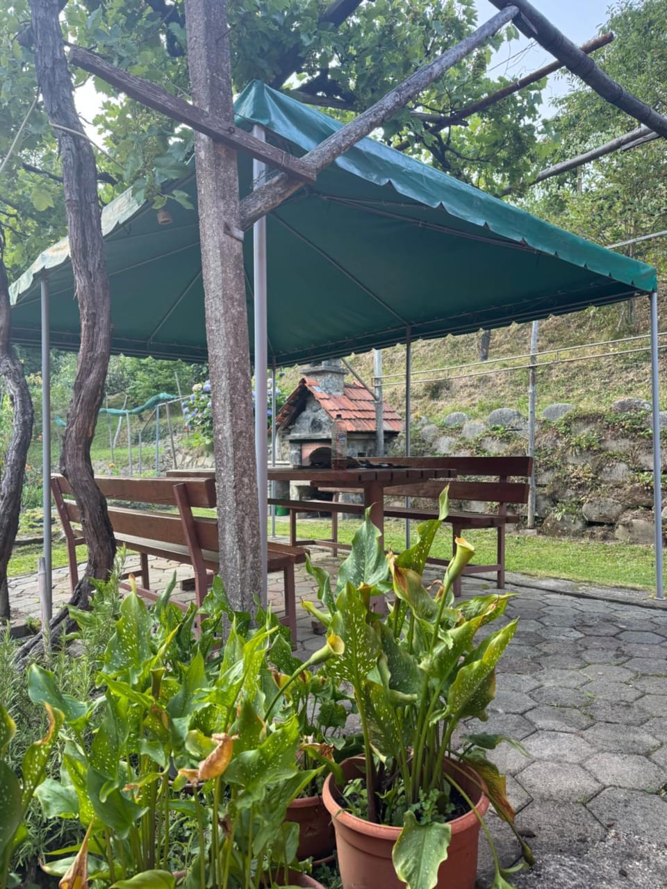 Day, Garden, Garden view