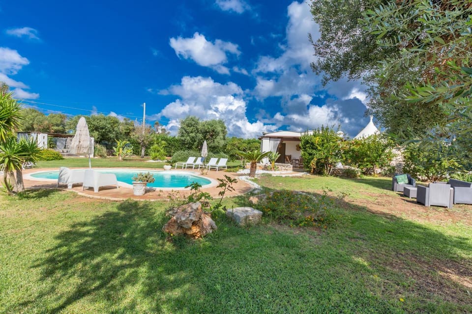 Garden, Swimming pool, sunbed