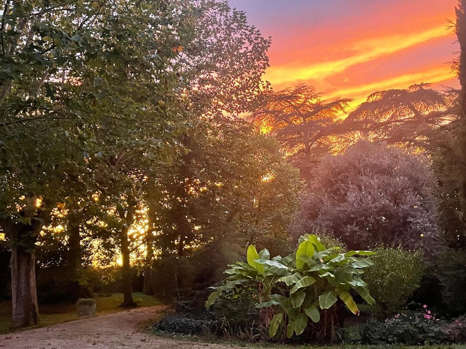 Manoir d Armagnac Vacation rental in Occitanie