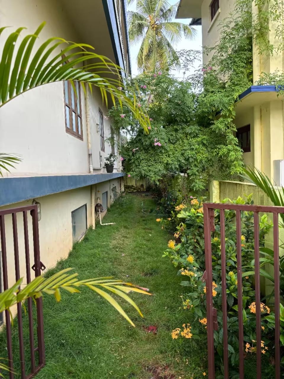 Inner courtyard view