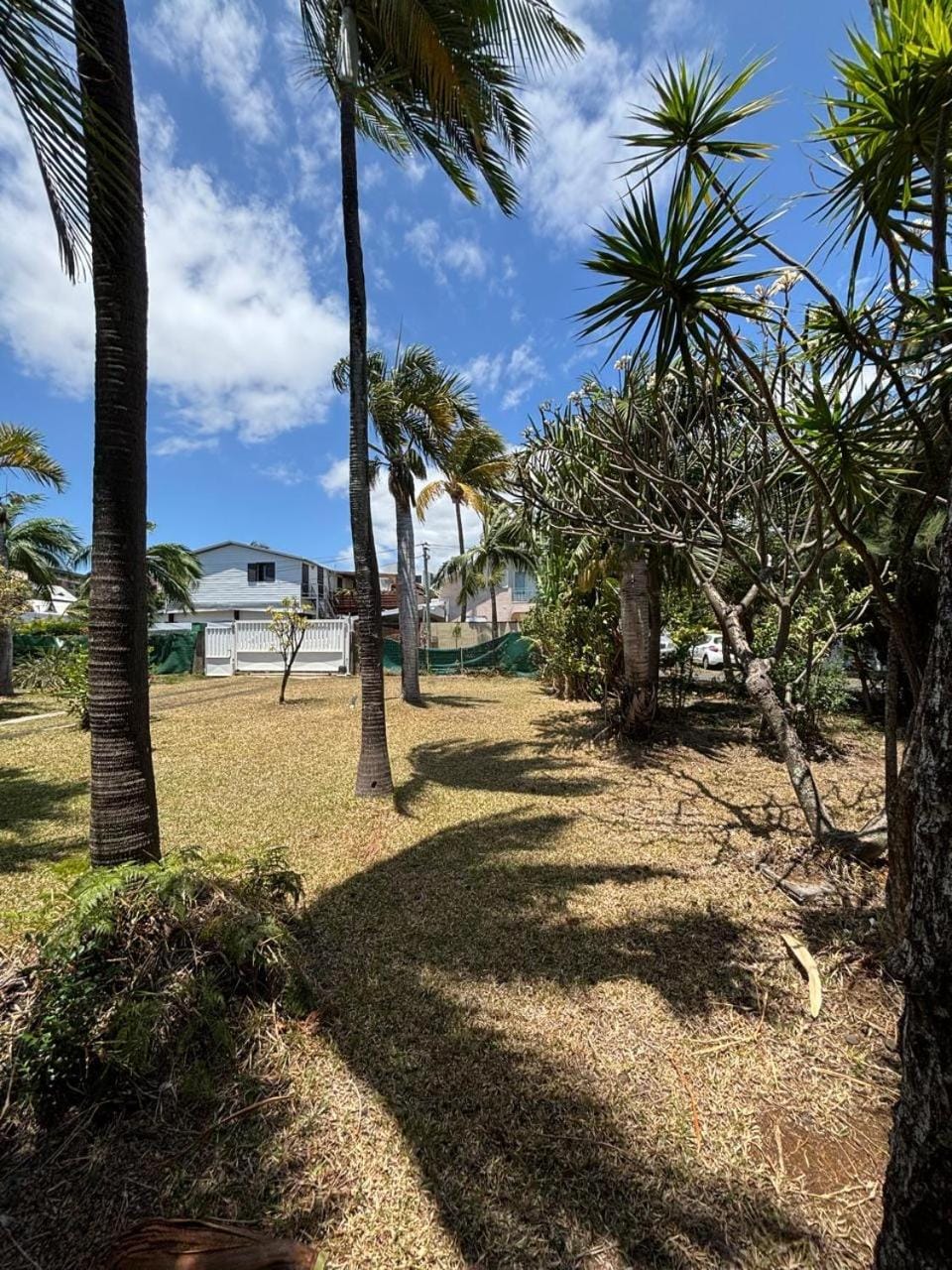 Garden, Garden view, Inner courtyard view