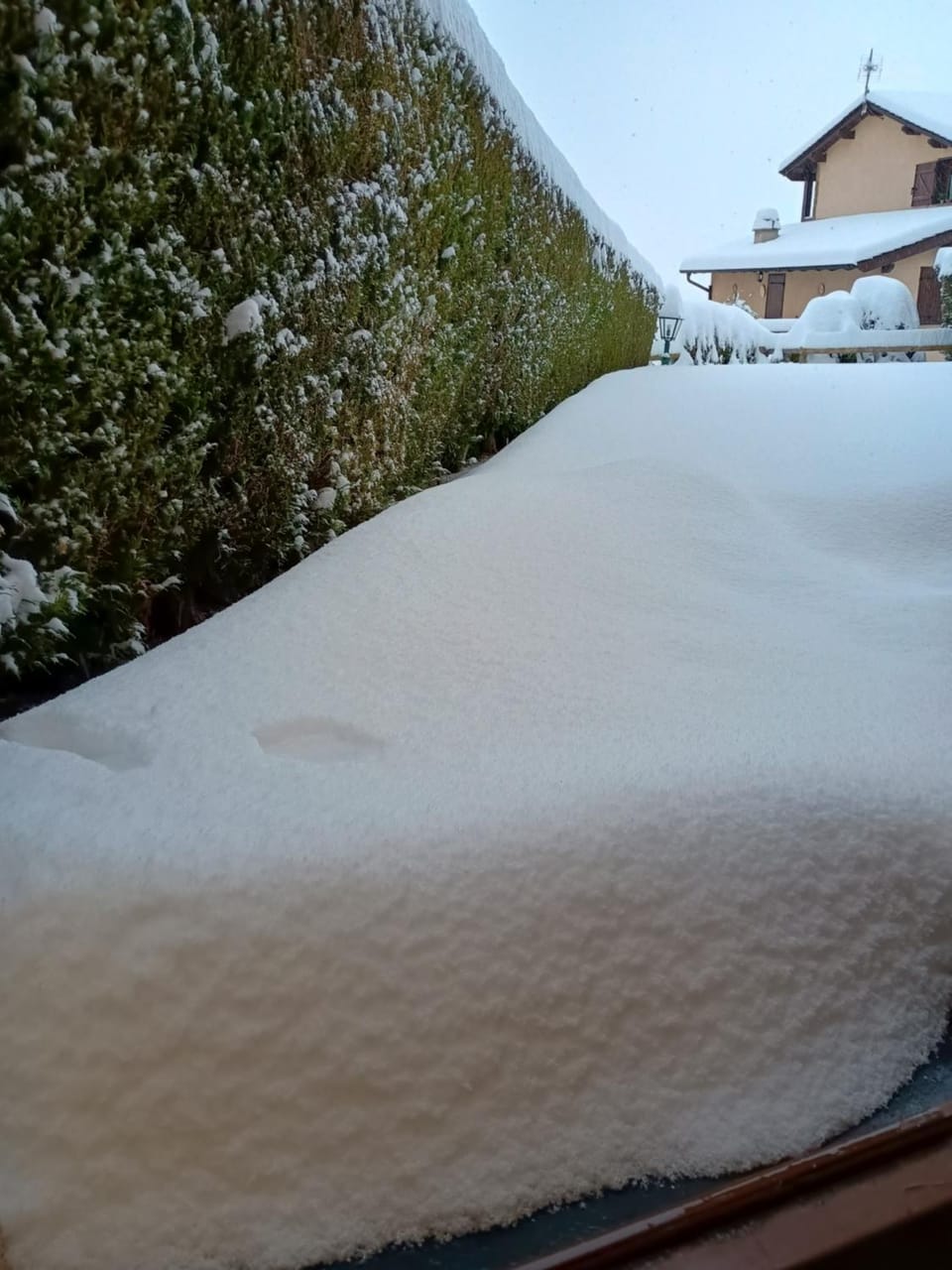 Winter
