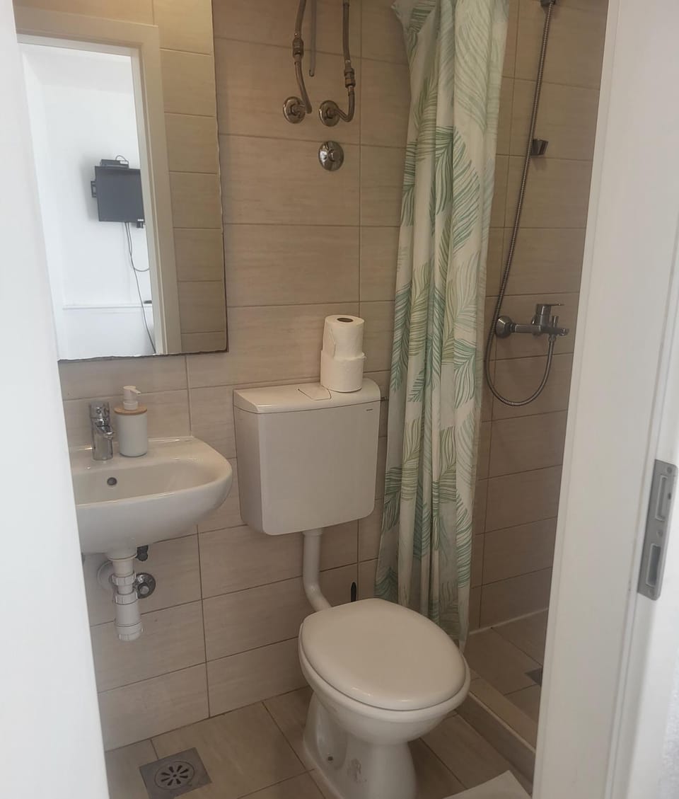 Shower, Toilet, Bathroom, bidet