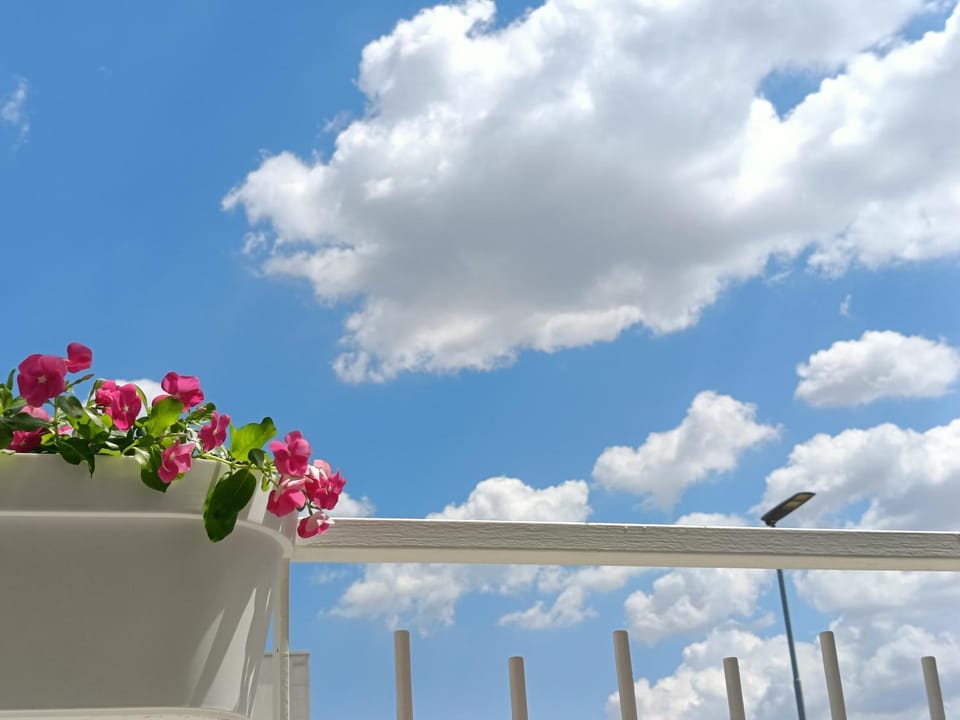 Spring, Day, View (from property/room), Balcony/Terrace