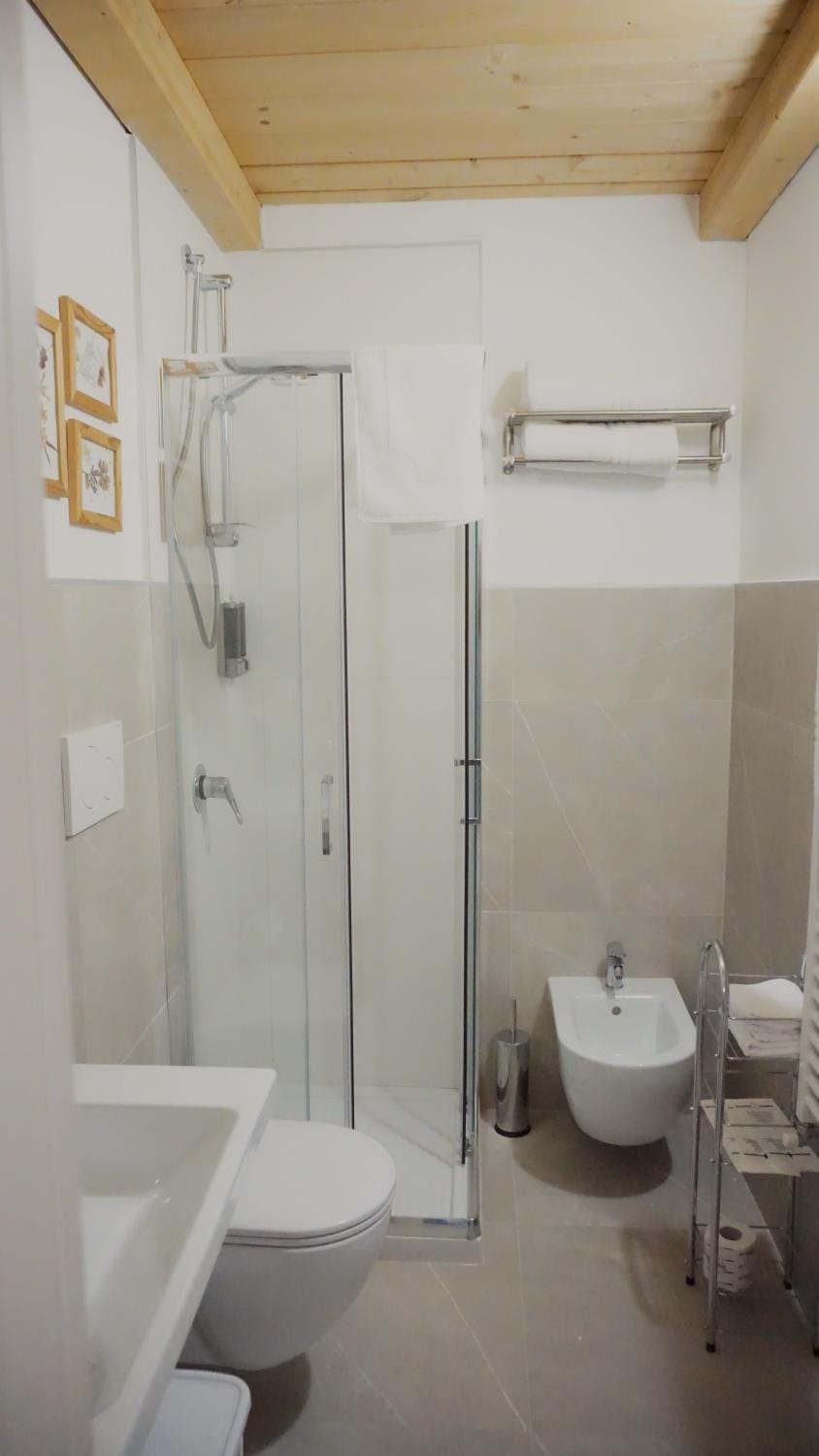 Shower, Toilet, Bathroom, bidet, towels