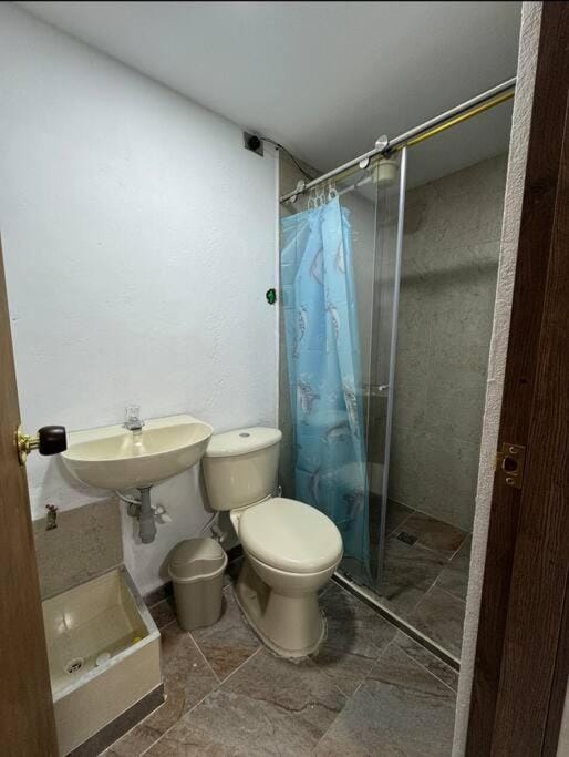 Shower, Toilet, Bathroom